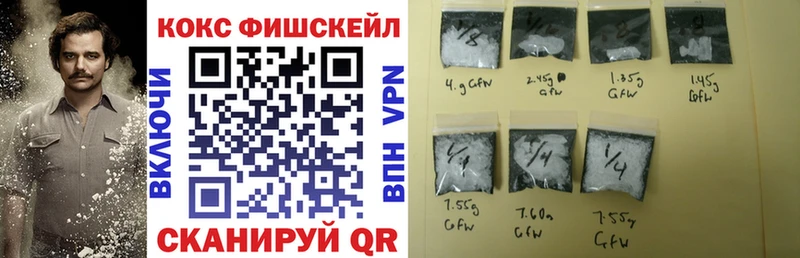 COCAIN Fish Scale  Купить  Вилюйск 