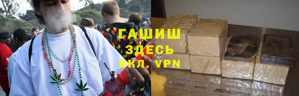 шишки Заволжье