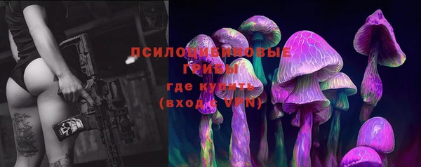 шишки Заволжье