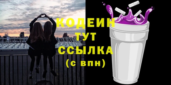 шишки Заволжье