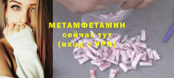 шишки Заволжье