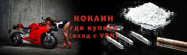 шишки Заволжье