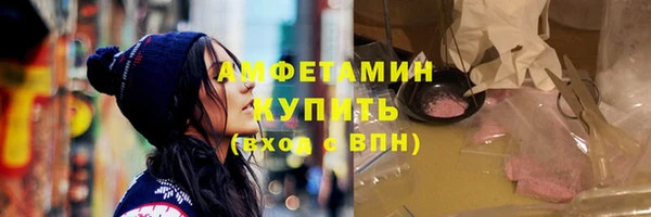 шишки Заволжье