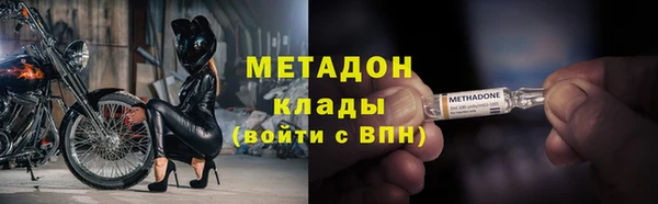 шишки Заволжье