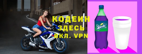 шишки Заволжье