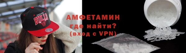 шишки Заволжье