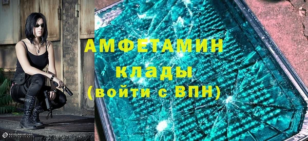шишки Заволжье