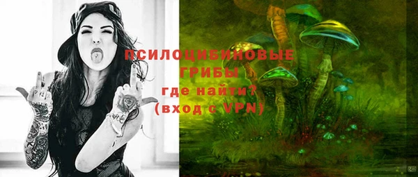 мет Заводоуковск
