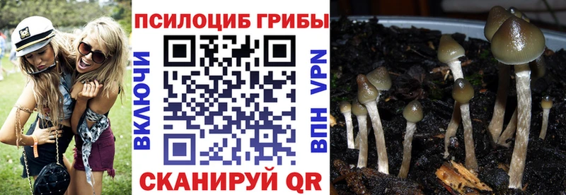 Псилоцибиновые грибы Magic Shrooms  Купить закладки  Вилюйск 